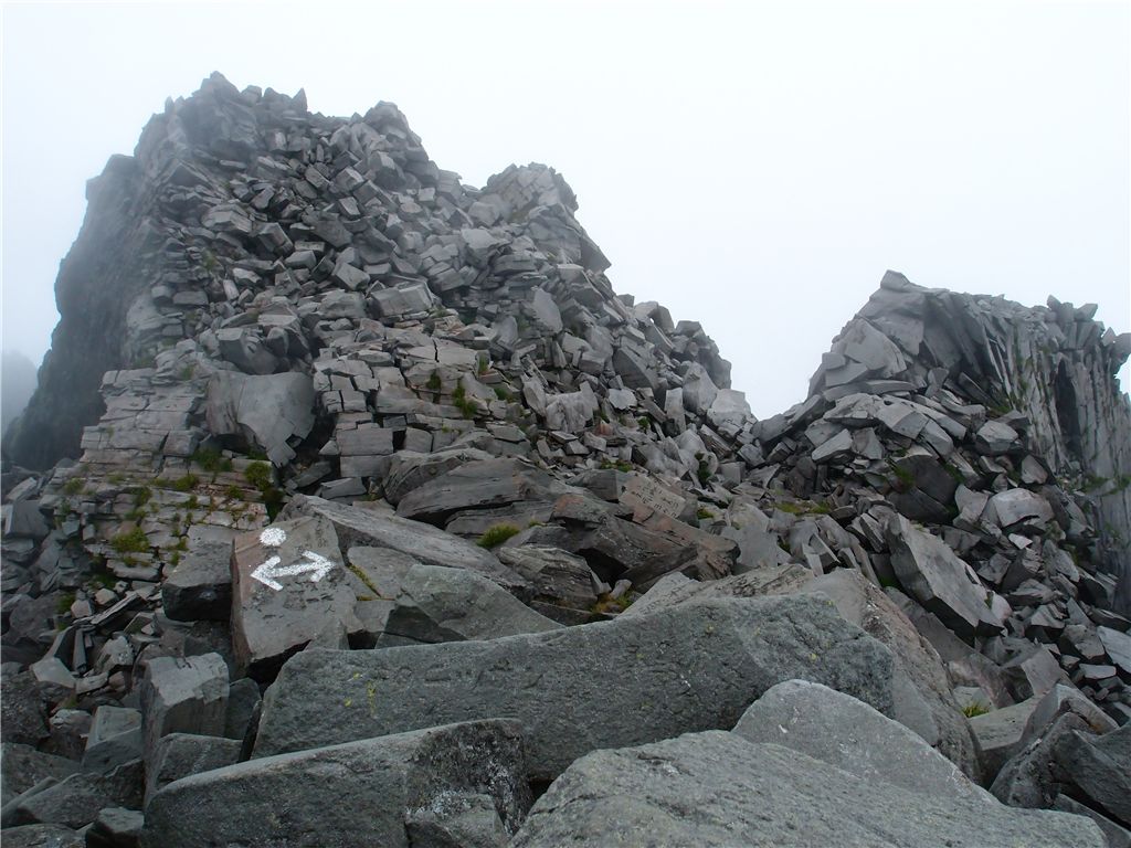 鳥海山は霧の中_f0224100_11373627.jpg