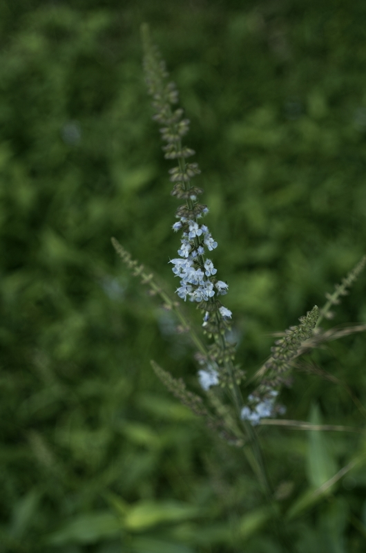 b0138101_6305858.jpg