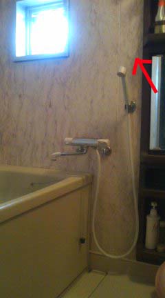 e0103408_2140478.jpg