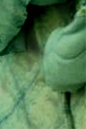 e0103408_21434898.jpg