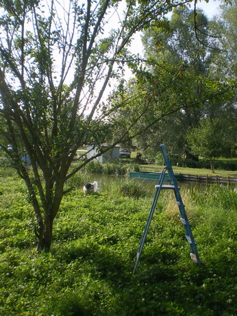 c0124619_8152496.jpg