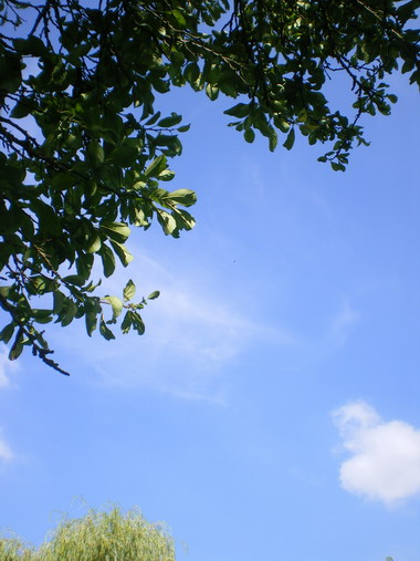 c0124619_87341.jpg