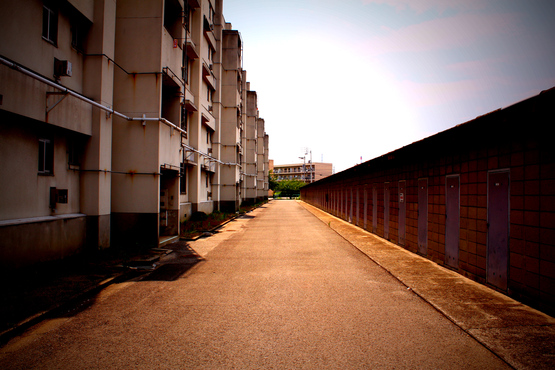 e0201121_12427.jpg