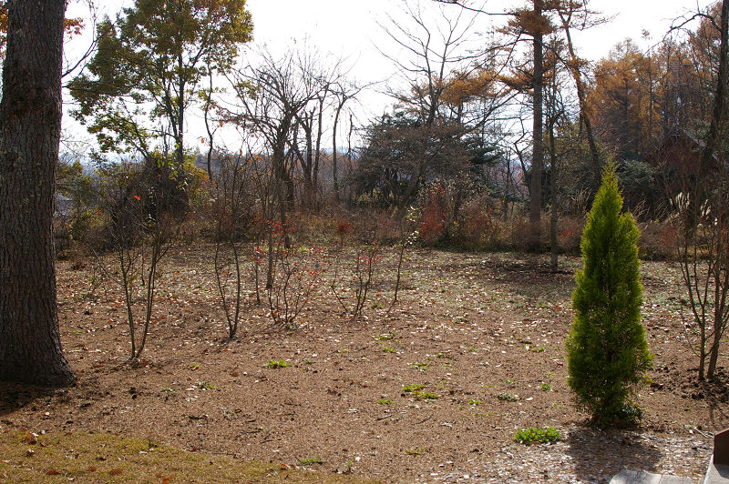 e0136424_22403153.jpg