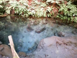 a0220528_1936486.jpg
