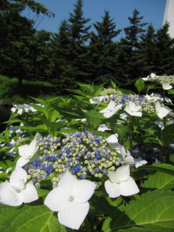 b0006537_20135100.jpg