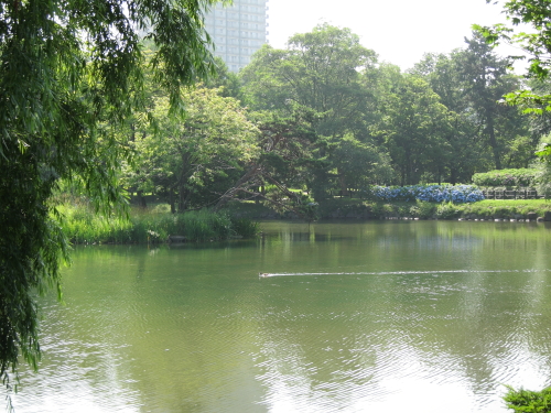 b0006537_2013962.jpg