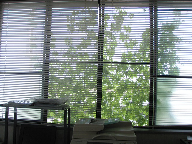 大工組合_b0062748_17361366.jpg