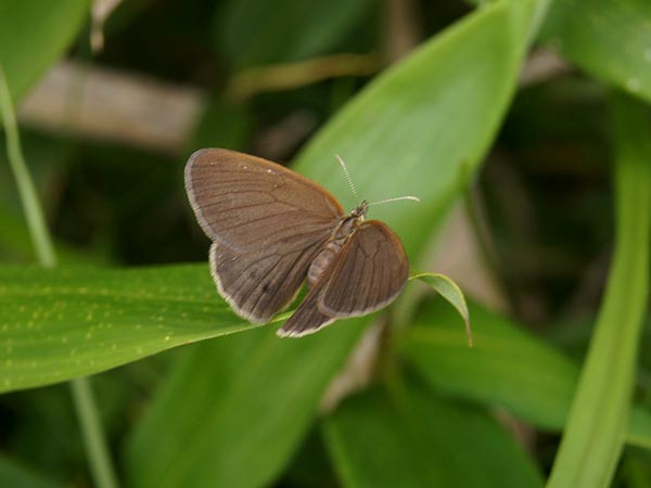 c0045352_1244289.jpg
