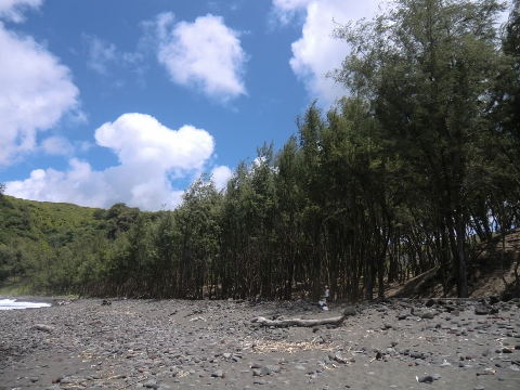 Pololu Valley_e0033156_12525122.jpg