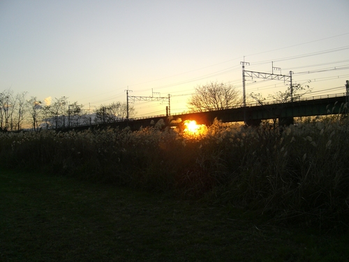 d0128759_22525542.jpg