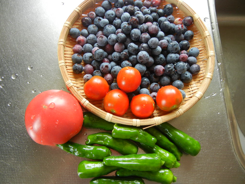 2011年7月30日(土)今日の収穫とピザ!_f0060461_14545787.jpg