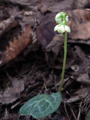 f0083977_611325.jpg