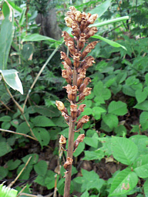 f0083977_692881.jpg