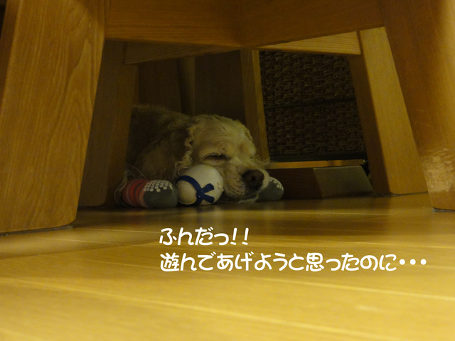 f0218182_16525925.jpg