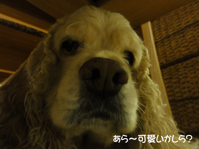 f0218182_1658570.jpg