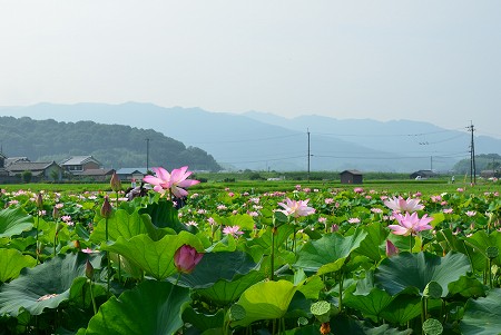c0229483_23272628.jpg