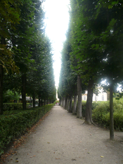 a0107792_2263015.jpg