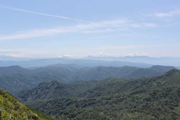 a0138500_6311511.jpg