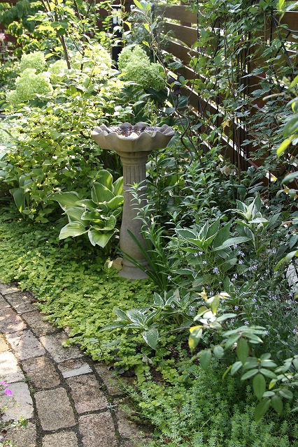 a0123003_8561195.jpg