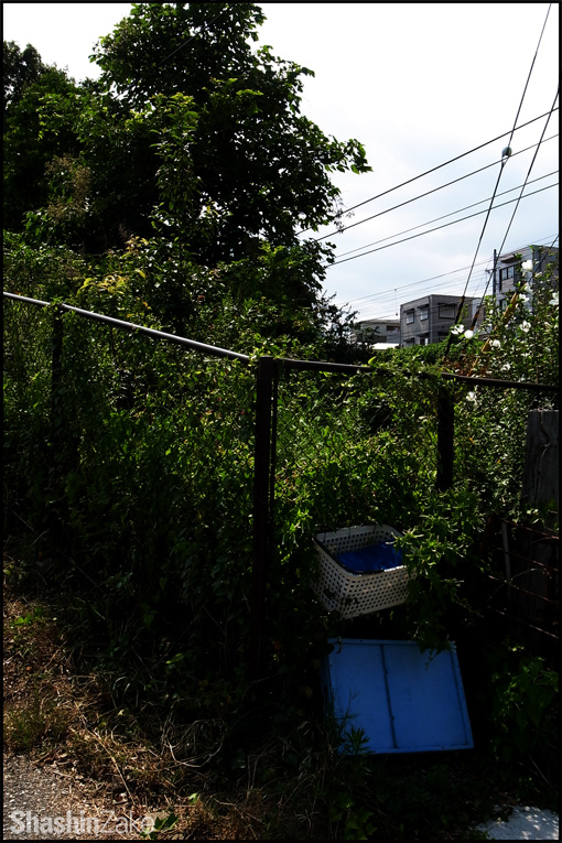c0102003_20342217.jpg