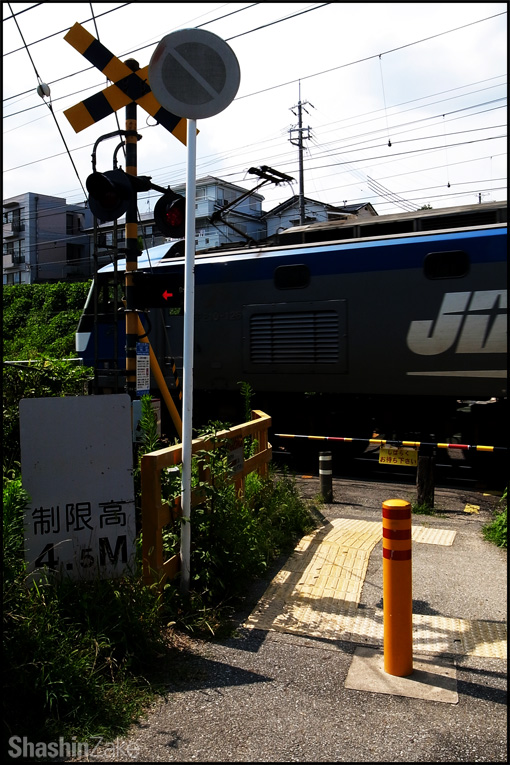c0102003_2034439.jpg