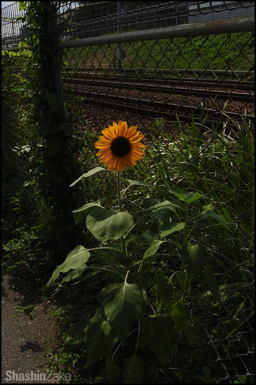 c0102003_20345272.jpg