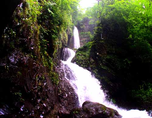 a0023315_005913.jpg