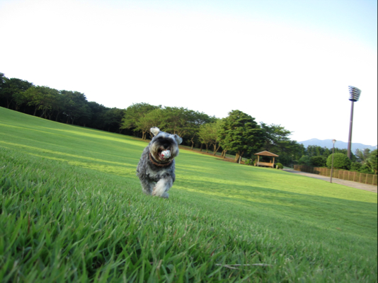 元気な夏にしよう_c0219815_1904051.jpg