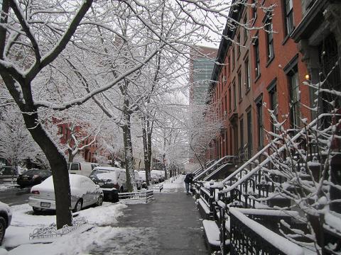 2月のNY☆雪の日_e0041217_17382244.jpg