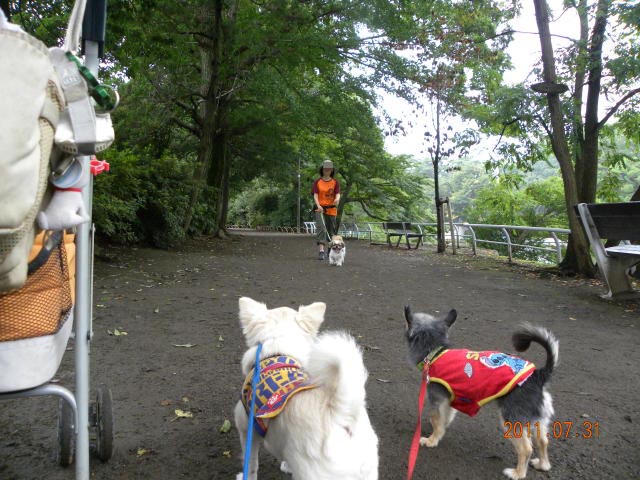 b0203018_16464069.jpg