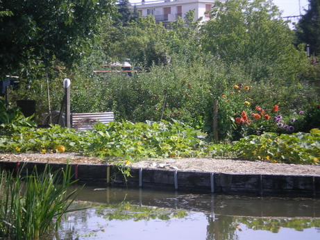 c0124619_522582.jpg