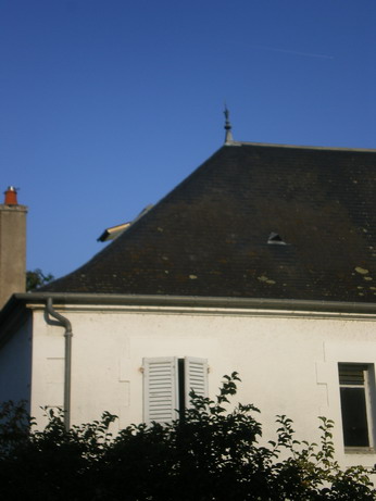c0124619_523133.jpg