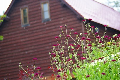 f0170524_845334.jpg