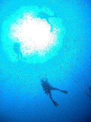 11.7.31 金武・中城湾ボート、チョイス_b0100730_2142046.jpg