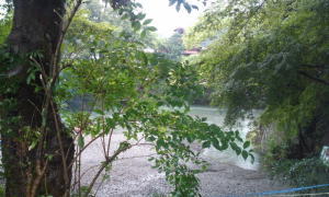 f0023333_21373281.jpg