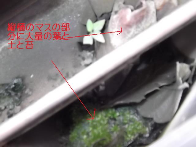 c0186441_20451540.jpg