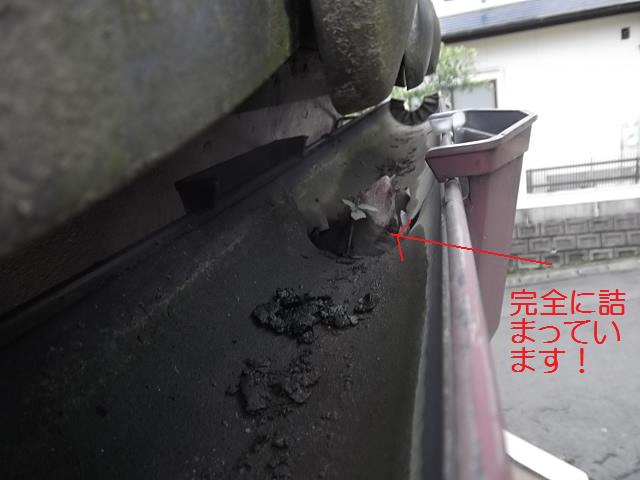 c0186441_20472038.jpg