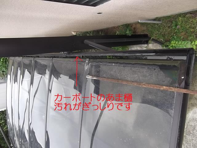 c0186441_2053149.jpg