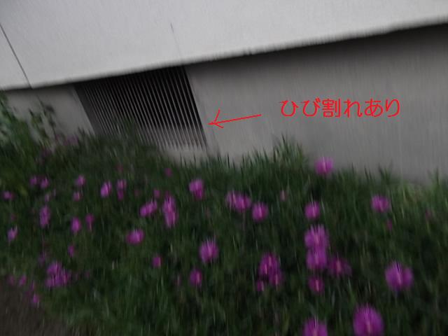 c0186441_21162663.jpg