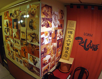 展示のお知らせ_a0028451_18363953.jpg