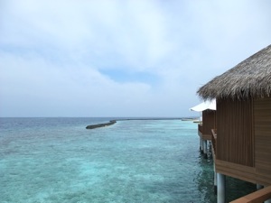 f0190653_10372130.jpg