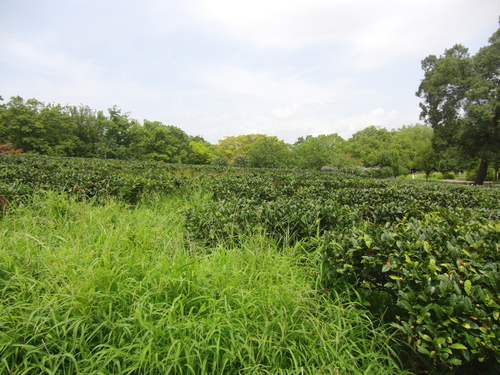 d0226154_10522384.jpg