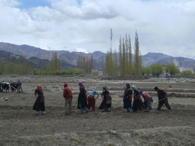 インド写真3_b0002156_18431315.jpg