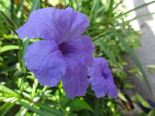 c0108460_1536421.jpg