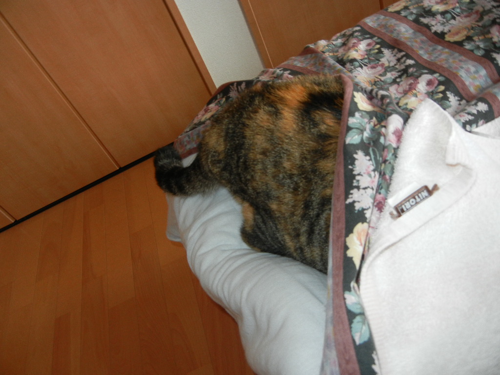 2011年7月31日(日)愛ちゃんと心ちゃんだらけ!_f0060461_13511015.jpg