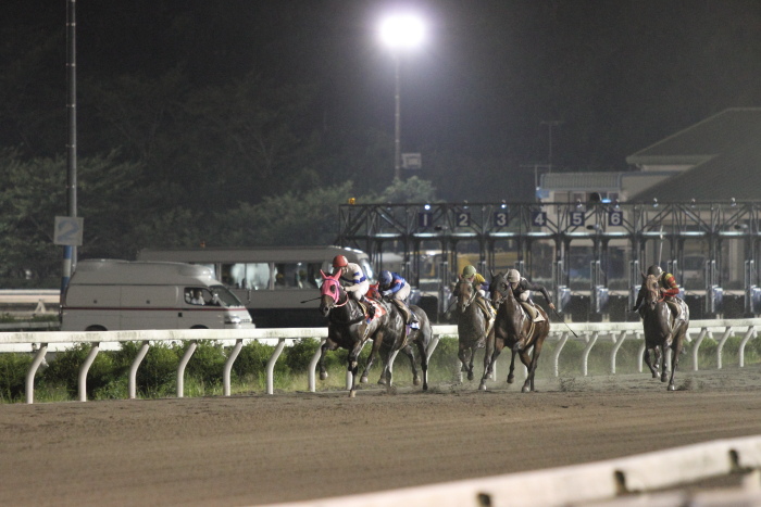 2011年7月30日（土） 高知競馬 10R 清流仁淀川特別Aイ_a0077663_7544899.jpg