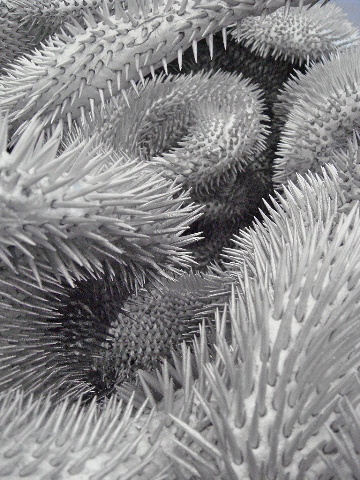 e0086864_22561627.jpg