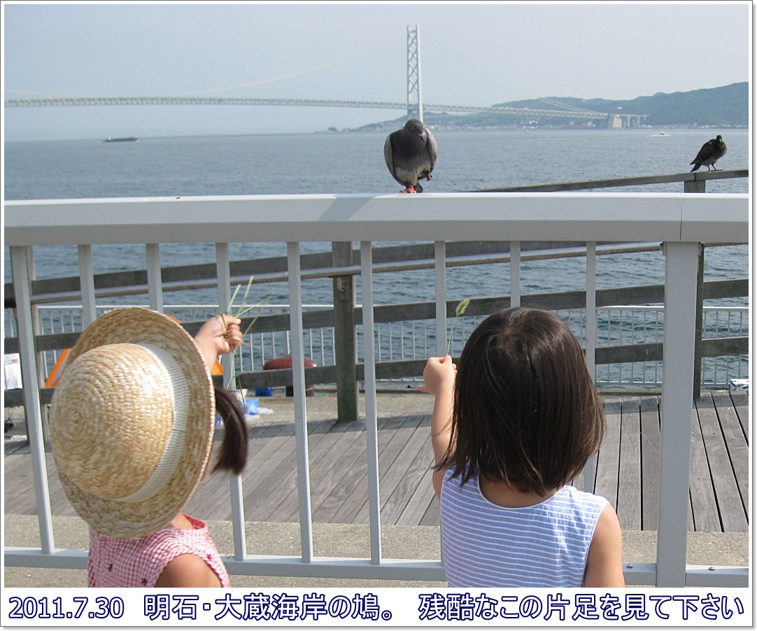 a0052666_325311.jpg