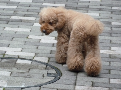 2011.7.31 トリミング_a0083571_17462588.jpg